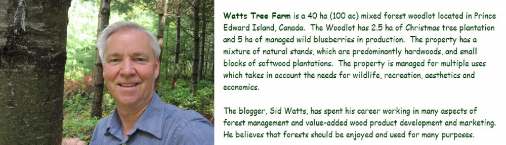 Watts Tree Farm Blog